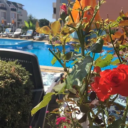 Family Hotel Africana سفيتي فلاس